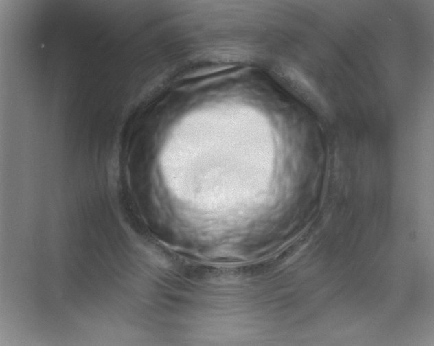 X0000070230202200606091726