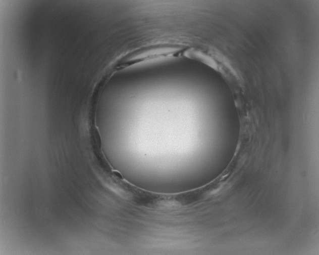 X0000070230203200606091726