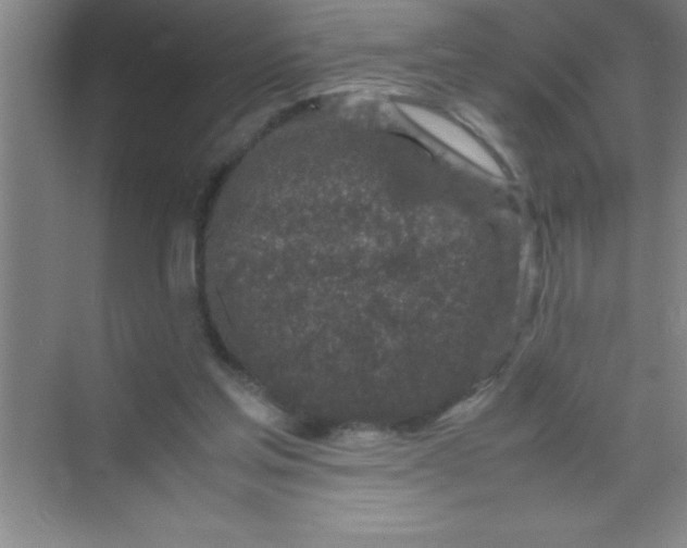 X0000070230205200606091726