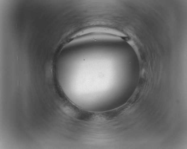 X0000070230207200606091726