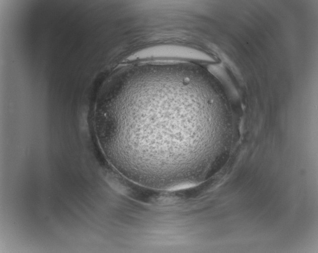 X0000070230209200606091726