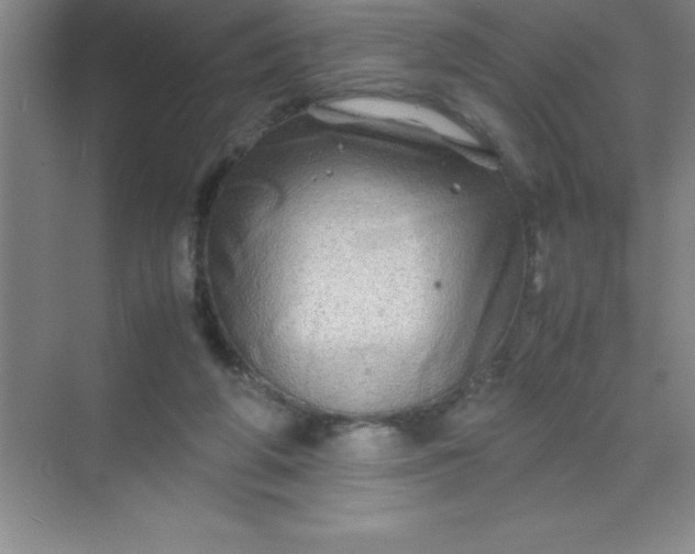 X0000070230210200606091725