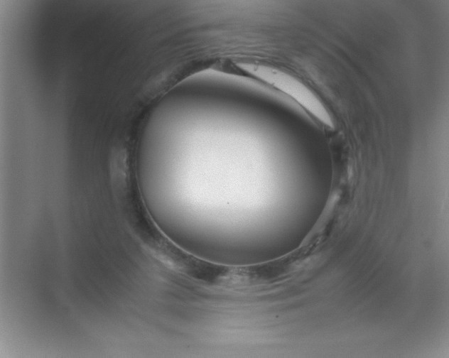 X0000070230211200606091725