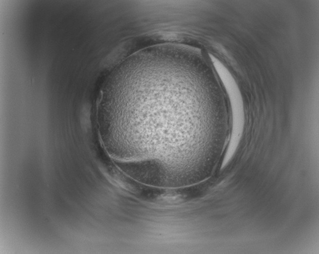 X0000070230213200606091725