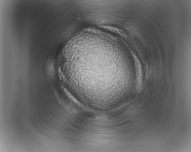 X0000070230214200606091725