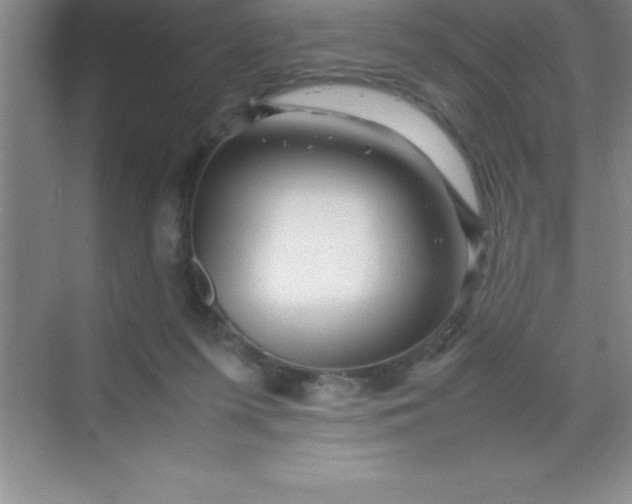 X0000070230215200606091725