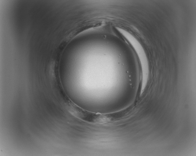 X0000070230217200606091725