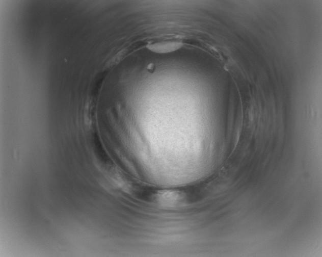 X0000070230218200606091725