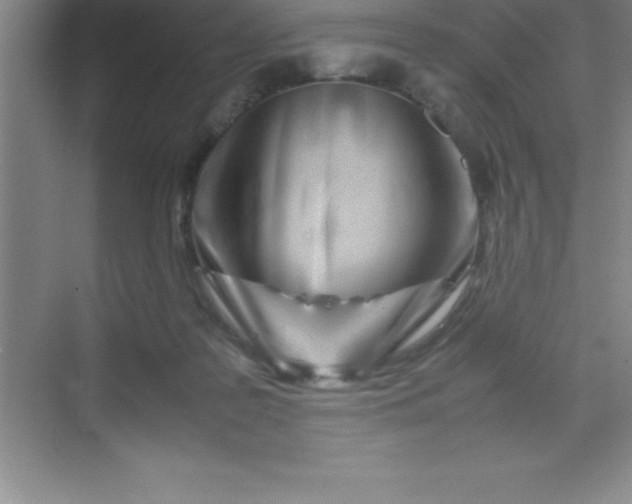 X0000070230219200606091725