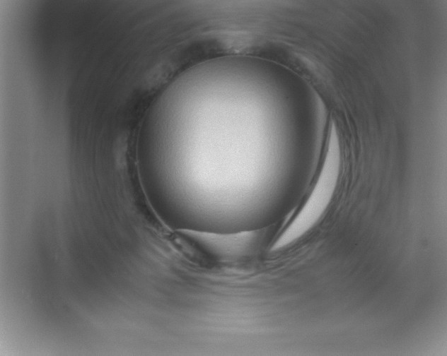 X0000070230221200606091725