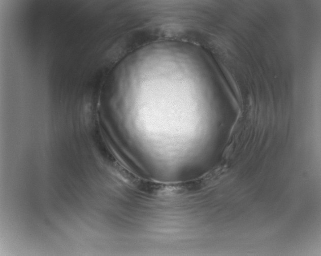 X0000070230222200606091725