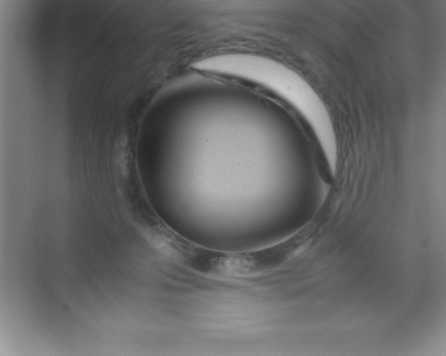 X0000070230223200606091725