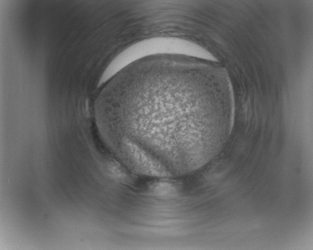 X0000070230224200606091725