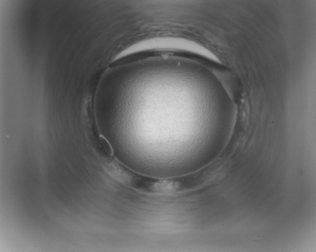 X0000070230225200606091725