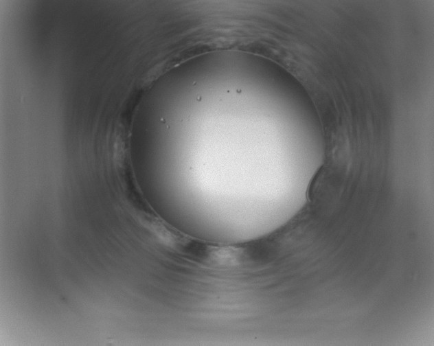 X0000070230226200606091725