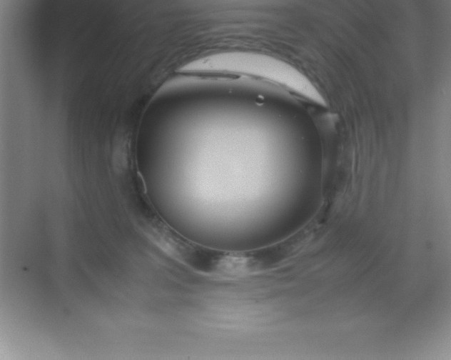 X0000070230227200606091725