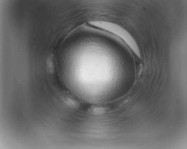 X0000070230228200606091725