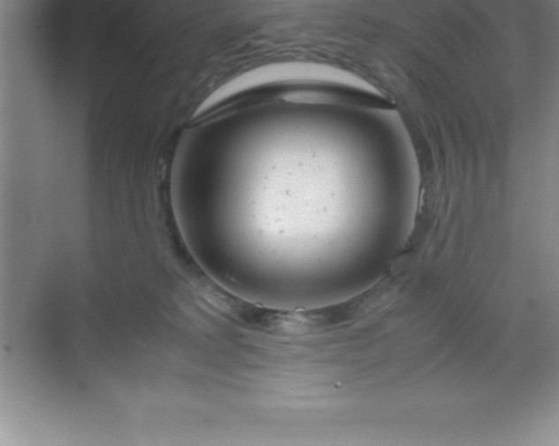 X0000070230229200606091725