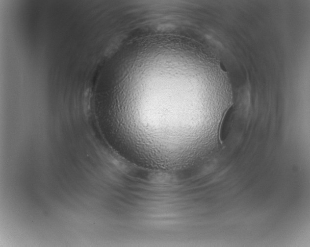 X0000070230230200606091725