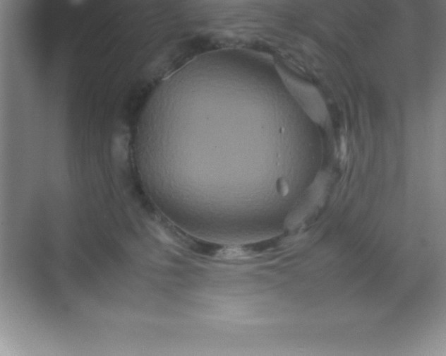 X0000070230231200606091725