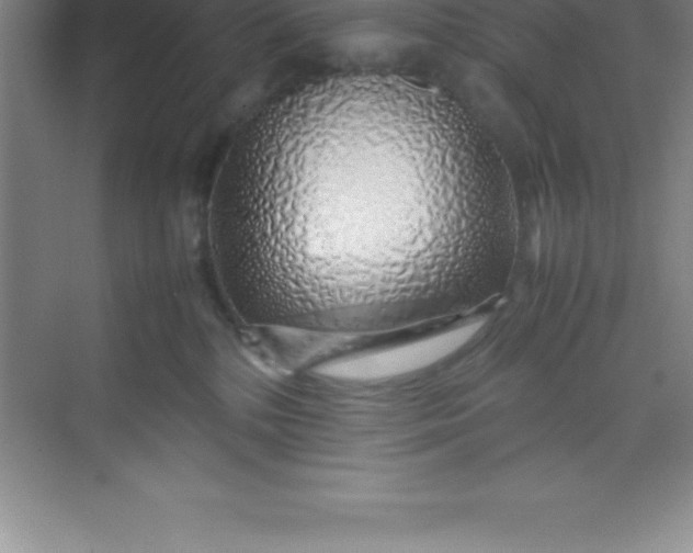 X0000070230232200606091725