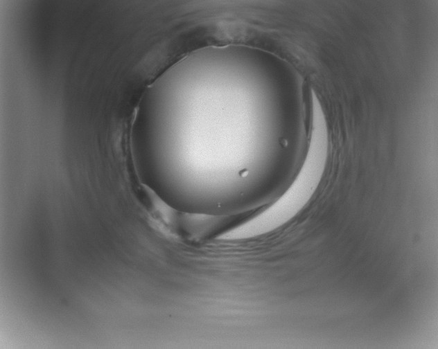 X0000070230233200606091725