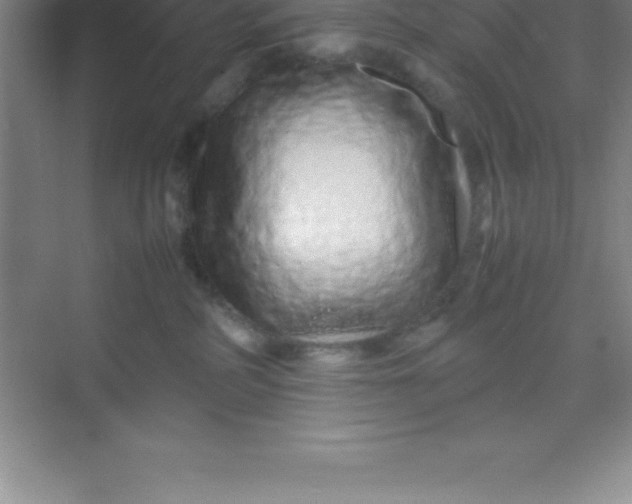 X0000070230234200606091725