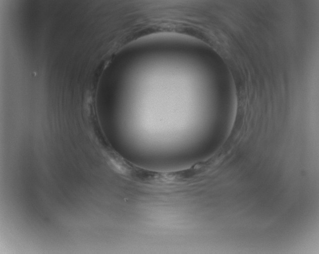 X0000070230235200606091725