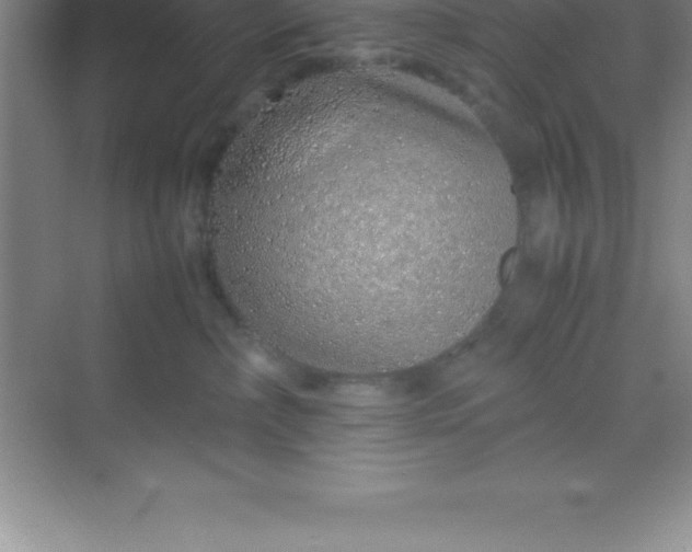 X0000070230236200606091725