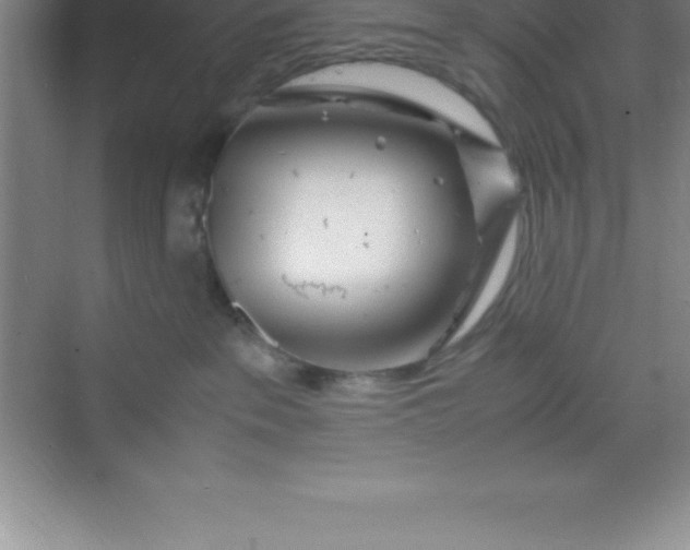 X0000070230237200606091725