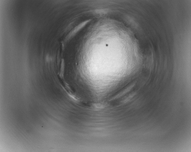 X0000070230238200606091725