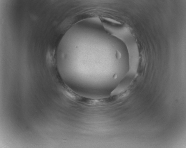 X0000070230239200606091725