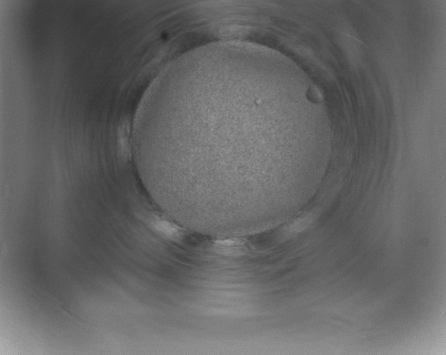 X0000070230240200606091725