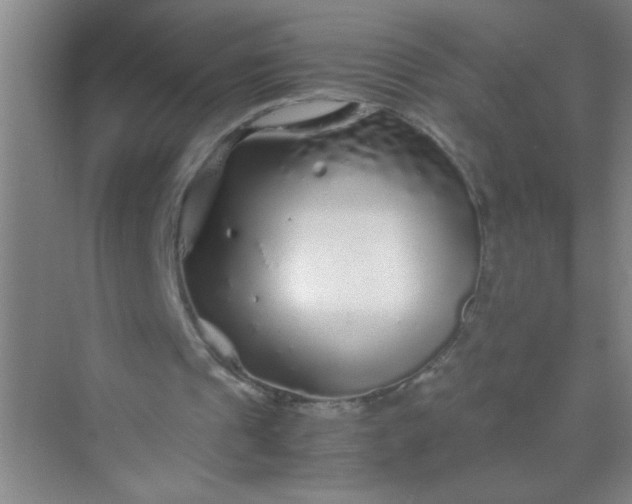 X0000070230241200606091724