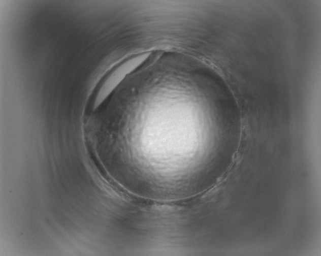 X0000070230242200606091724