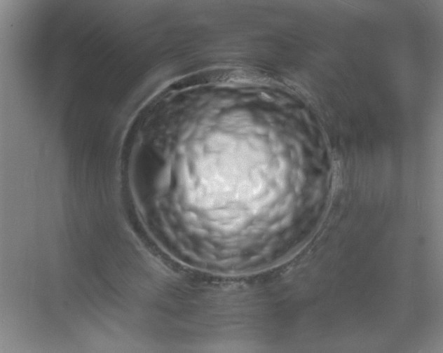 X0000070230243200606091724