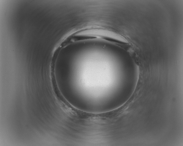 X0000070230244200606091724