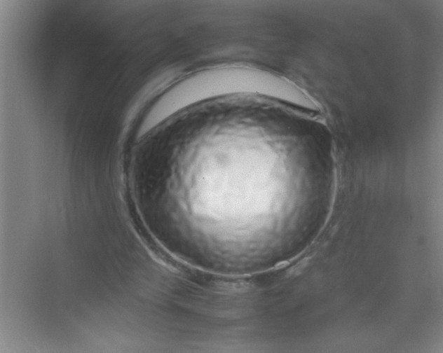 X0000070230245200606091724