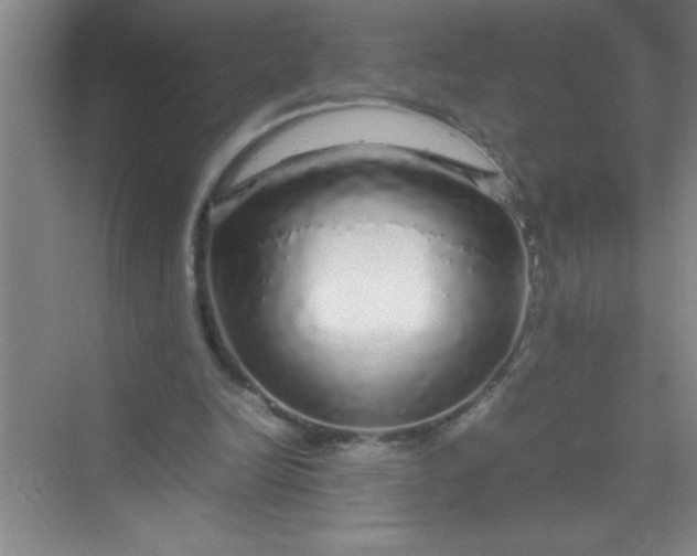 X0000070230246200606091724