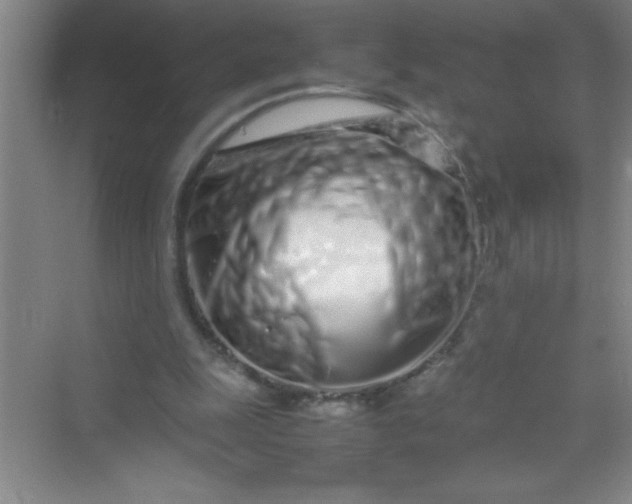 X0000070230247200606091724