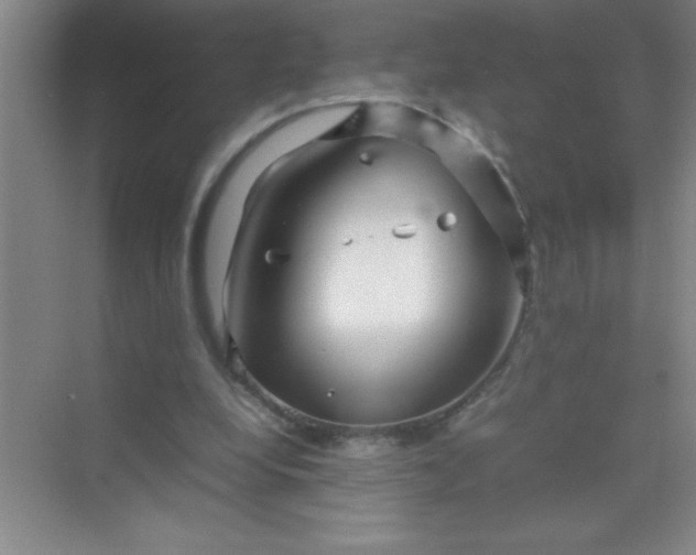 X0000070230248200606091724