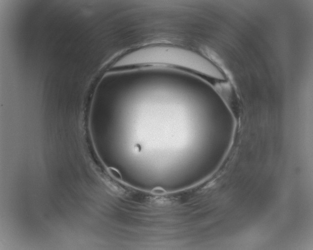 X0000070230249200606091724