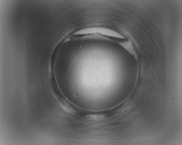 X0000070230251200606091724