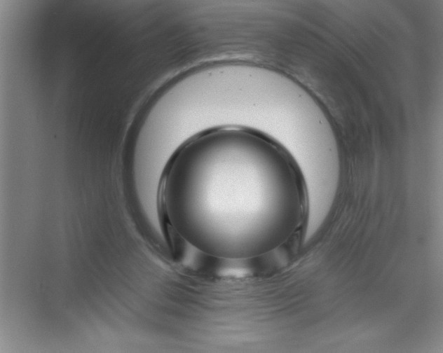 X0000070230252200606091724