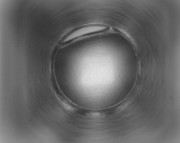 X0000070230253200606091724