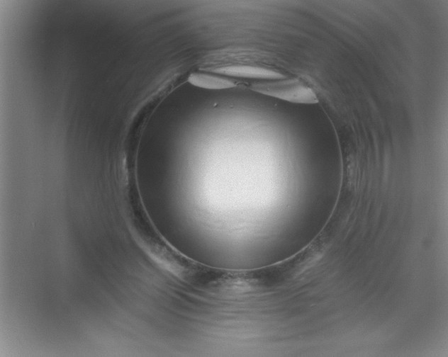 X0000070230254200606091724