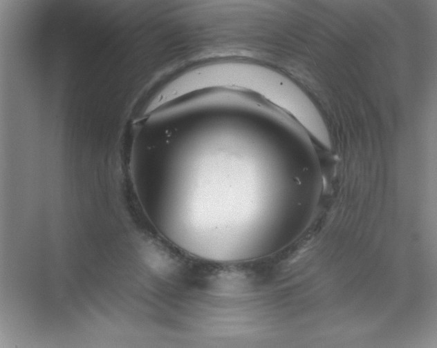 X0000070230256200606091724