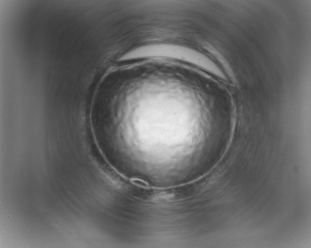 X0000070230257200606091724