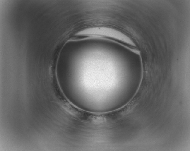 X0000070230258200606091724