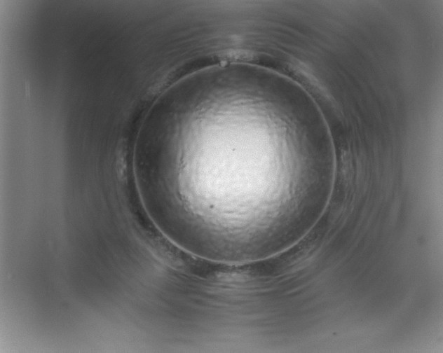 X0000070230259200606091724